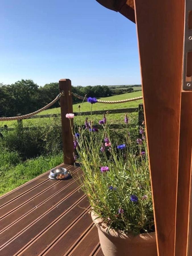 Campsite The Hobbit Hole *